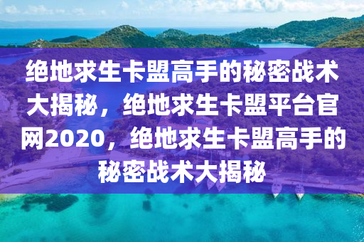 绝地求生卡盟高手的秘密战术大揭秘，绝地求生卡盟平台官网2020，绝地求生卡盟高手的秘密战术大揭秘