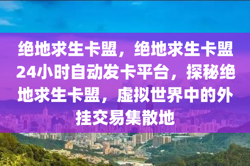 绝地求生卡盟，绝地求生卡盟24小时自动发卡平台，探秘绝地求生卡盟，虚拟世界中的外挂交易集散地