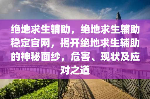 绝地求生辅助，绝地求生辅助稳定官网，揭开绝地求生辅助的神秘面纱，危害、现状及应对之道