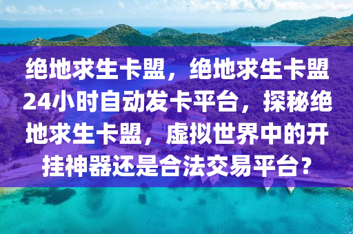 绝地求生卡盟，绝地求生卡盟24小时自动发卡平台，探秘绝地求生卡盟，虚拟世界中的开挂神器还是合法交易平台？