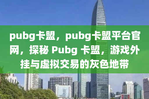 pubg卡盟，pubg卡盟平台官网，探秘 Pubg 卡盟，游戏外挂与虚拟交易的灰色地带