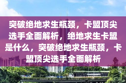 突破绝地求生瓶颈，卡盟顶尖选手全面解析，绝地求生卡盟是什么，突破绝地求生瓶颈，卡盟顶尖选手全面解析