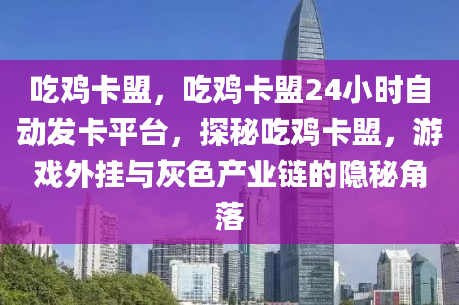 吃鸡卡盟，吃鸡卡盟24小时自动发卡平台，探秘吃鸡卡盟，游戏外挂与灰色产业链的隐秘角落