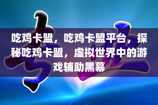 吃鸡卡盟，吃鸡卡盟平台，探秘吃鸡卡盟，虚拟世界中的游戏辅助黑幕