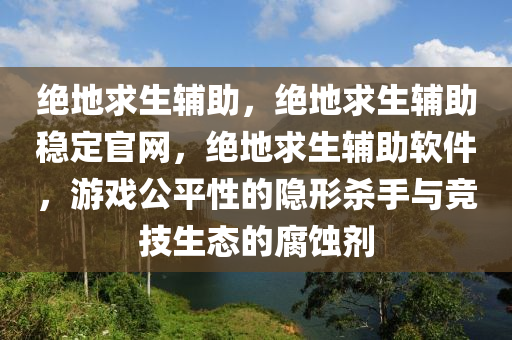 绝地求生辅助，绝地求生辅助稳定官网，绝地求生辅助软件，游戏公平性的隐形杀手与竞技生态的腐蚀剂