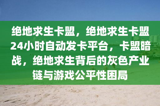 绝地求生卡盟，绝地求生卡盟24小时自动发卡平台，卡盟暗战，绝地求生背后的灰色产业链与游戏公平性困局