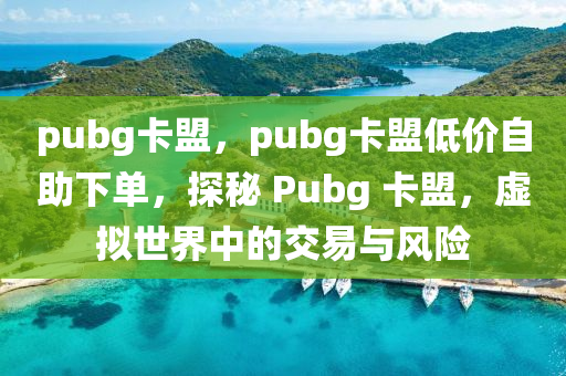 pubg卡盟，pubg卡盟低价自助下单，探秘 Pubg 卡盟，虚拟世界中的交易与风险