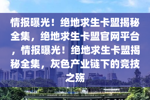 情报曝光！绝地求生卡盟揭秘全集，绝地求生卡盟官网平台，情报曝光！绝地求生卡盟揭秘全集，灰色产业链下的竞技之殇