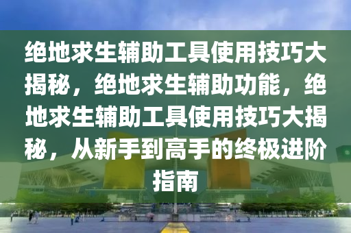 绝地求生辅助工具使用技巧大揭秘，绝地求生辅助功能，绝地求生辅助工具使用技巧大揭秘，从新手到高手的终极进阶指南