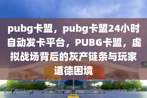 pubg卡盟，pubg卡盟24小时自动发卡平台，PUBG卡盟，虚拟战场背后的灰产链条与玩家道德困境