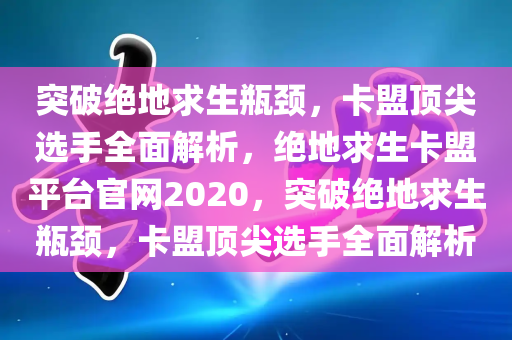 突破绝地求生瓶颈，卡盟顶尖选手全面解析，绝地求生卡盟平台官网2020，突破绝地求生瓶颈，卡盟顶尖选手全面解析