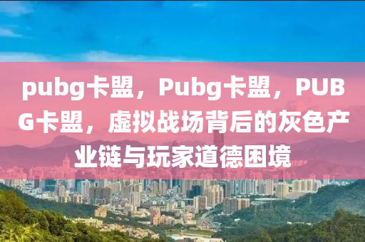 pubg卡盟，Pubg卡盟，PUBG卡盟，虚拟战场背后的灰色产业链与玩家道德困境