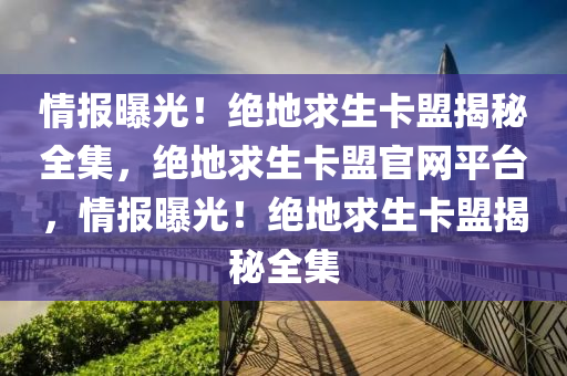 情报曝光！绝地求生卡盟揭秘全集，绝地求生卡盟官网平台，情报曝光！绝地求生卡盟揭秘全集