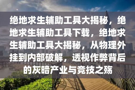 绝地求生辅助工具大揭秘，绝地求生辅助工具下载，绝地求生辅助工具大揭秘，从物理外挂到内部破解，透视作弊背后的灰暗产业与竞技之殇