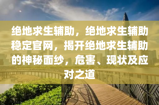 绝地求生辅助，绝地求生辅助稳定官网，揭开绝地求生辅助的神秘面纱，危害、现状及应对之道