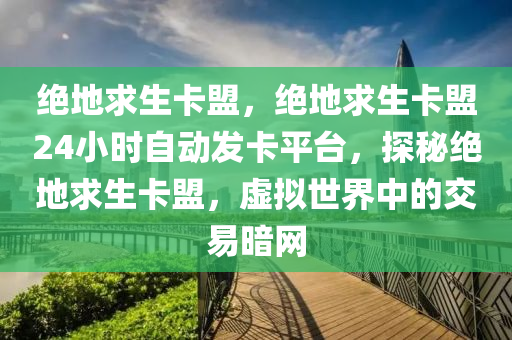 绝地求生卡盟，绝地求生卡盟24小时自动发卡平台，探秘绝地求生卡盟，虚拟世界中的交易暗网