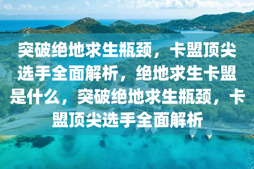 突破绝地求生瓶颈，卡盟顶尖选手全面解析，绝地求生卡盟是什么，突破绝地求生瓶颈，卡盟顶尖选手全面解析
