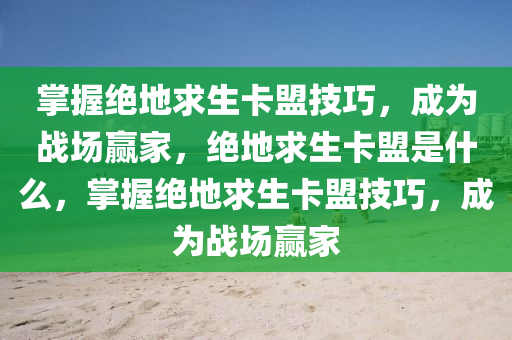 掌握绝地求生卡盟技巧，成为战场赢家，绝地求生卡盟是什么，掌握绝地求生卡盟技巧，成为战场赢家