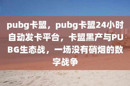 pubg卡盟，pubg卡盟24小时自动发卡平台，卡盟黑产与PUBG生态战，一场没有硝烟的数字战争