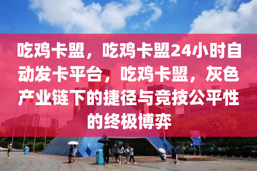 吃鸡卡盟，吃鸡卡盟24小时自动发卡平台，吃鸡卡盟，灰色产业链下的捷径与竞技公平性的终极博弈