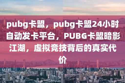 pubg卡盟，pubg卡盟24小时自动发卡平台，PUBG卡盟暗影江湖，虚拟竞技背后的真实代价