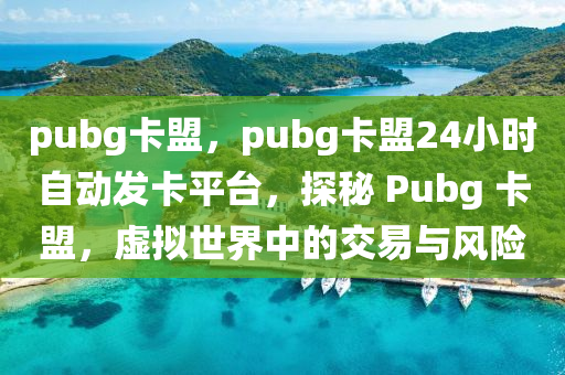 pubg卡盟，pubg卡盟24小时自动发卡平台，探秘 Pubg 卡盟，虚拟世界中的交易与风险