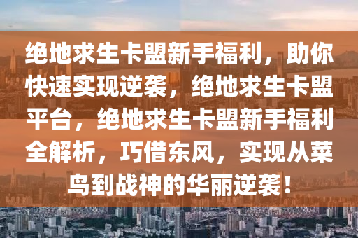 绝地求生卡盟新手福利，助你快速实现逆袭，绝地求生卡盟平台，绝地求生卡盟新手福利全解析，巧借东风，实现从菜鸟到战神的华丽逆袭！