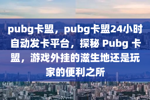 pubg卡盟，pubg卡盟24小时自动发卡平台，探秘 Pubg 卡盟，游戏外挂的滋生地还是玩家的便利之所