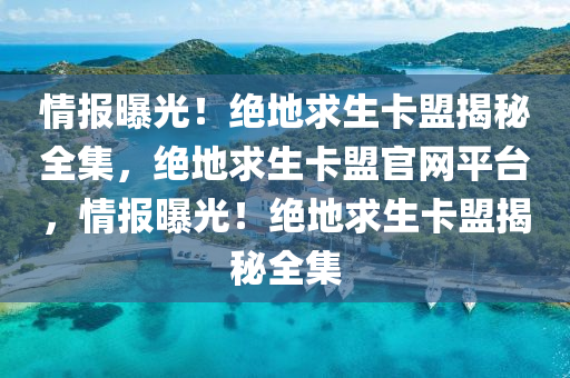 情报曝光！绝地求生卡盟揭秘全集，绝地求生卡盟官网平台，情报曝光！绝地求生卡盟揭秘全集