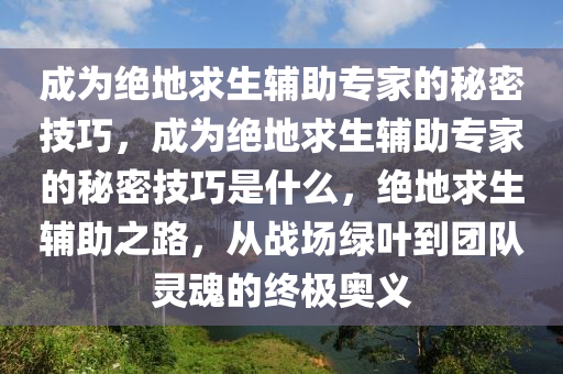 成为绝地求生辅助专家的秘密技巧，成为绝地求生辅助专家的秘密技巧是什么，绝地求生辅助之路，从战场绿叶到团队灵魂的终极奥义