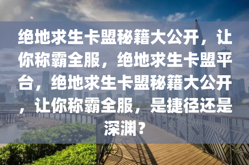 绝地求生卡盟秘籍大公开，让你称霸全服，绝地求生卡盟平台，绝地求生卡盟秘籍大公开，让你称霸全服，是捷径还是深渊？