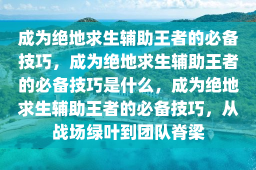 成为绝地求生辅助王者的必备技巧，成为绝地求生辅助王者的必备技巧是什么，成为绝地求生辅助王者的必备技巧，从战场绿叶到团队脊梁
