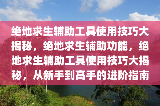 绝地求生辅助工具使用技巧大揭秘，绝地求生辅助功能，绝地求生辅助工具使用技巧大揭秘，从新手到高手的进阶指南