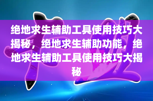 绝地求生辅助工具使用技巧大揭秘，绝地求生辅助功能，绝地求生辅助工具使用技巧大揭秘