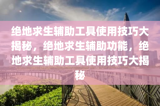 绝地求生辅助工具使用技巧大揭秘，绝地求生辅助功能，绝地求生辅助工具使用技巧大揭秘