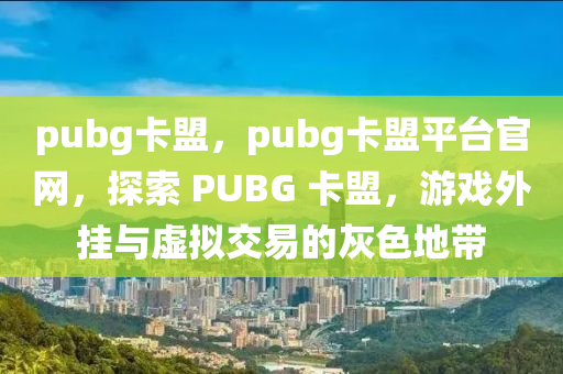 pubg卡盟，pubg卡盟平台官网，探索 PUBG 卡盟，游戏外挂与虚拟交易的灰色地带