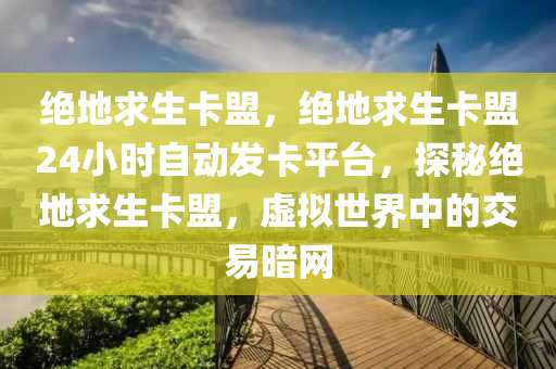 绝地求生卡盟，绝地求生卡盟24小时自动发卡平台，探秘绝地求生卡盟，虚拟世界中的交易暗网