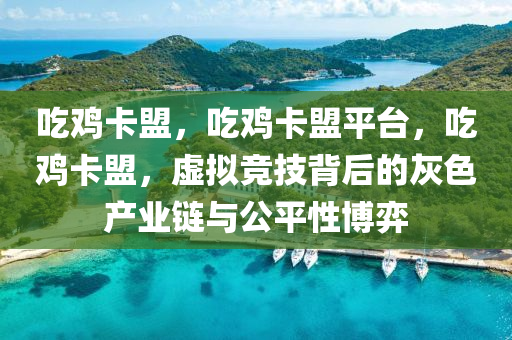 吃鸡卡盟，吃鸡卡盟平台，吃鸡卡盟，虚拟竞技背后的灰色产业链与公平性博弈