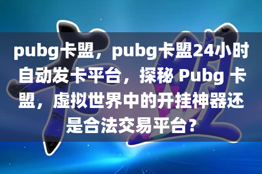 pubg卡盟，pubg卡盟24小时自动发卡平台，探秘 Pubg 卡盟，虚拟世界中的开挂神器还是合法交易平台？