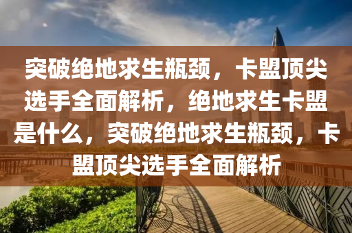 突破绝地求生瓶颈，卡盟顶尖选手全面解析，绝地求生卡盟是什么，突破绝地求生瓶颈，卡盟顶尖选手全面解析