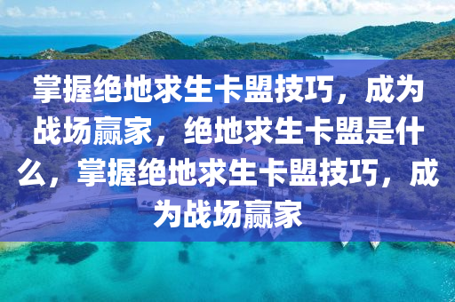 掌握绝地求生卡盟技巧，成为战场赢家，绝地求生卡盟是什么，掌握绝地求生卡盟技巧，成为战场赢家