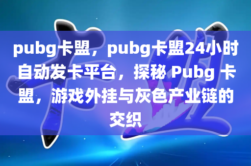 pubg卡盟，pubg卡盟24小时自动发卡平台，探秘 Pubg 卡盟，游戏外挂与灰色产业链的交织