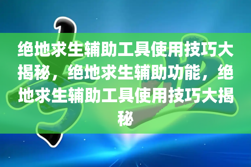 绝地求生辅助工具使用技巧大揭秘，绝地求生辅助功能，绝地求生辅助工具使用技巧大揭秘