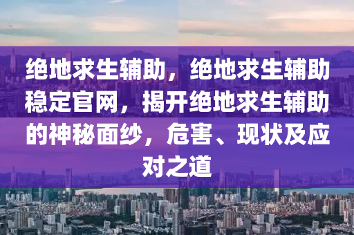 绝地求生辅助，绝地求生辅助稳定官网，揭开绝地求生辅助的神秘面纱，危害、现状及应对之道