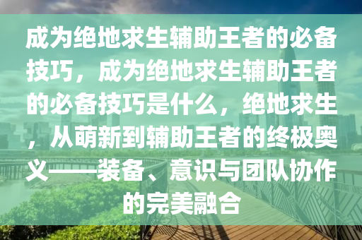 成为绝地求生辅助王者的必备技巧，成为绝地求生辅助王者的必备技巧是什么，绝地求生，从萌新到辅助王者的终极奥义——装备、意识与团队协作的完美融合