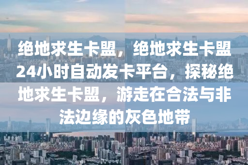 绝地求生卡盟，绝地求生卡盟24小时自动发卡平台，探秘绝地求生卡盟，游走在合法与非法边缘的灰色地带