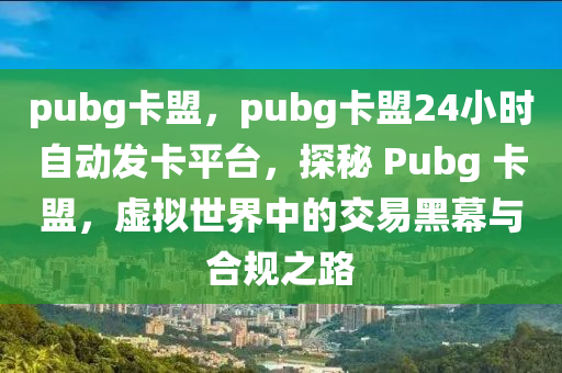 pubg卡盟，pubg卡盟24小时自动发卡平台，探秘 Pubg 卡盟，虚拟世界中的交易黑幕与合规之路