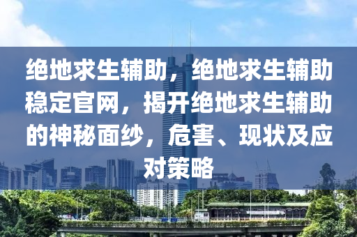 绝地求生辅助，绝地求生辅助稳定官网，揭开绝地求生辅助的神秘面纱，危害、现状及应对策略