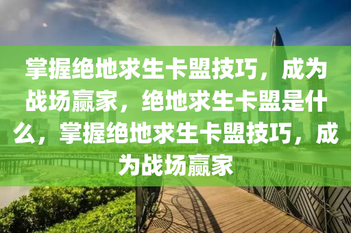 掌握绝地求生卡盟技巧，成为战场赢家，绝地求生卡盟是什么，掌握绝地求生卡盟技巧，成为战场赢家