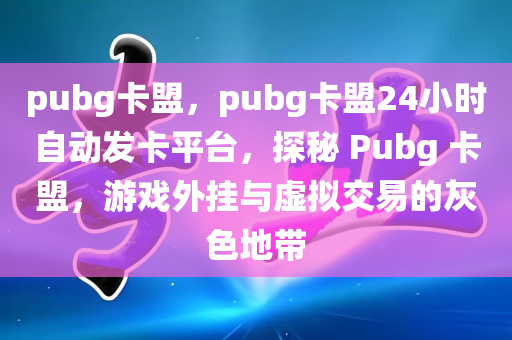 pubg卡盟，pubg卡盟24小时自动发卡平台，探秘 Pubg 卡盟，游戏外挂与虚拟交易的灰色地带